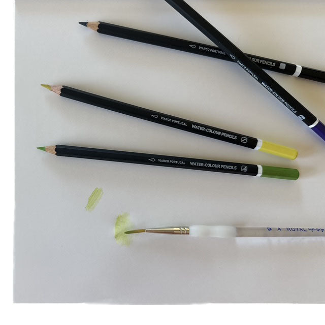 Watercolor pencils and a paintbrush on a white background