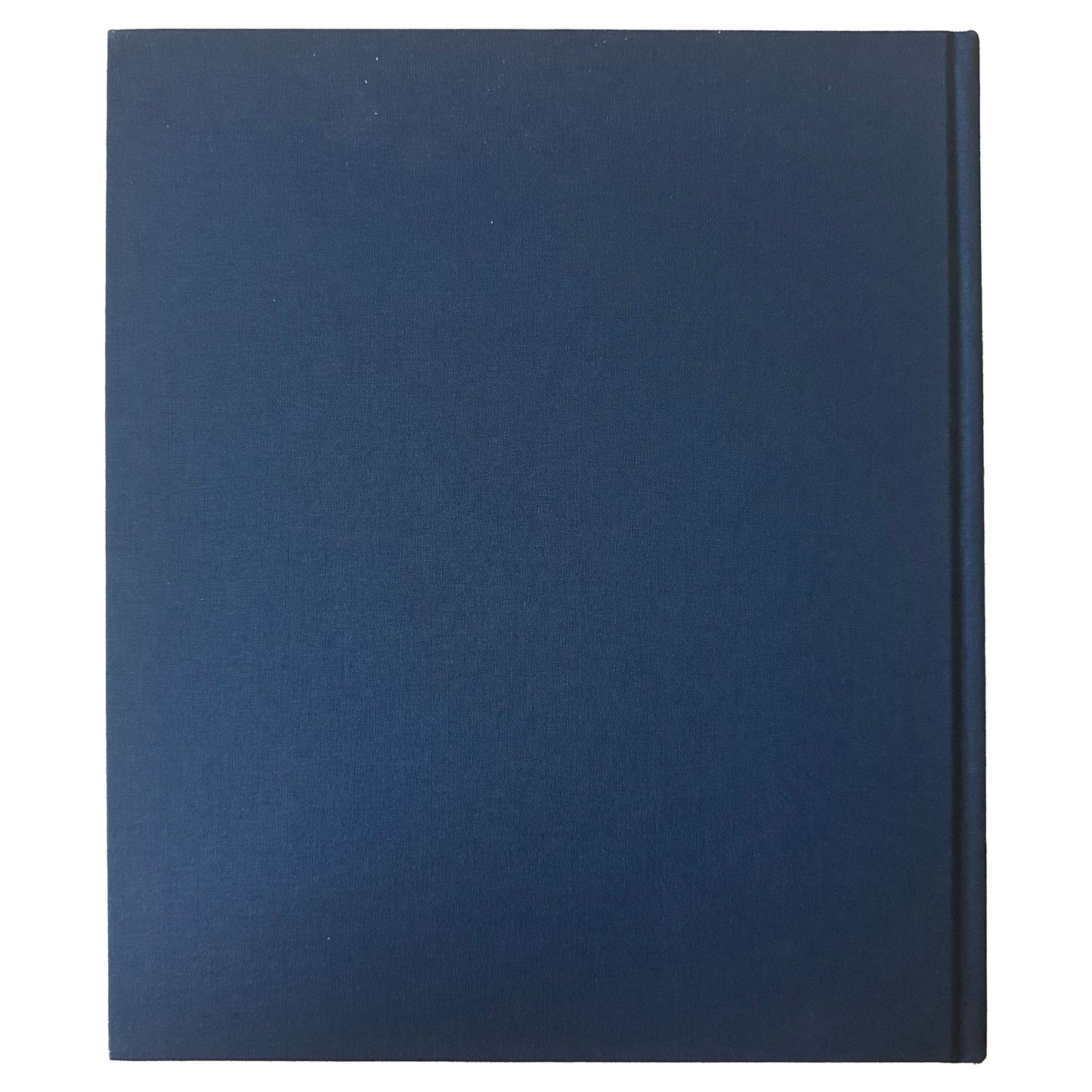 Noah Davis: In Detail