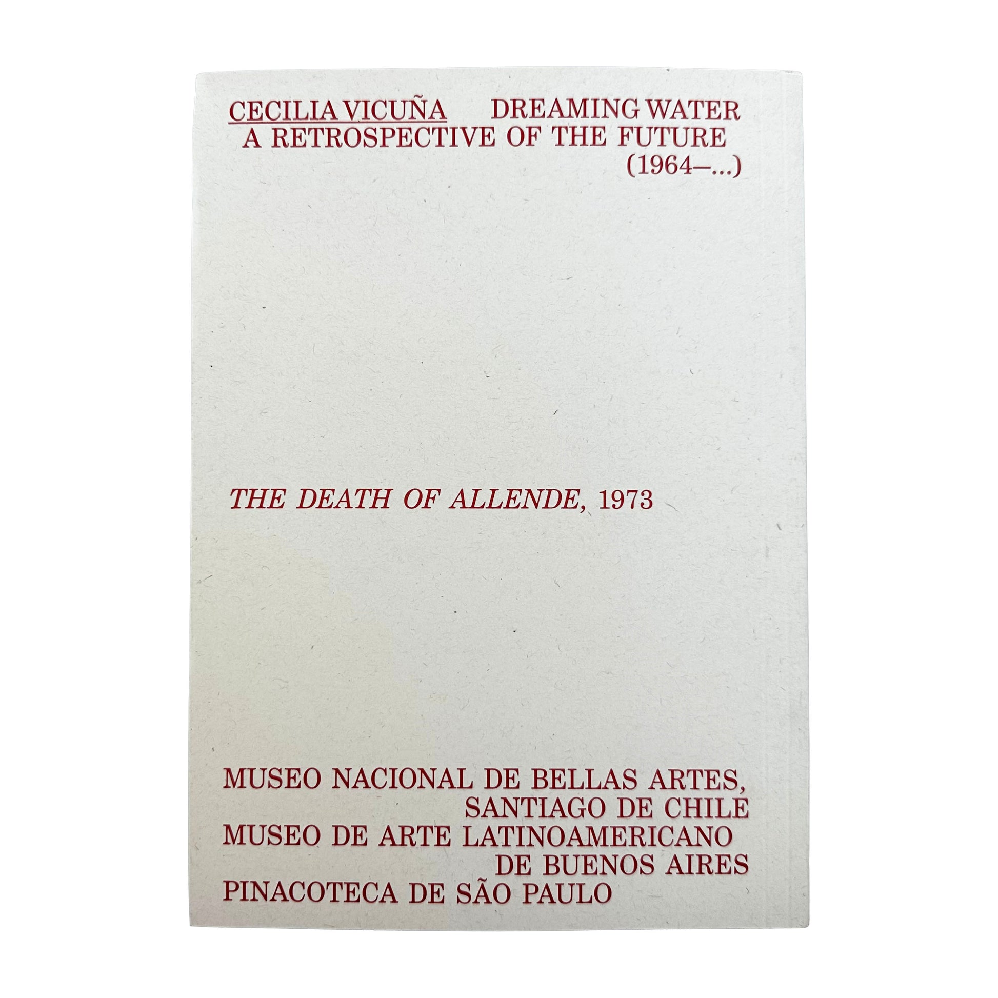 Back cover of Dreaming Water with text about Cecilia Vicuña's art exhibition and museum locations.