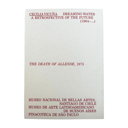 Back cover of Dreaming Water with text about Cecilia Vicuña's art exhibition and museum locations.