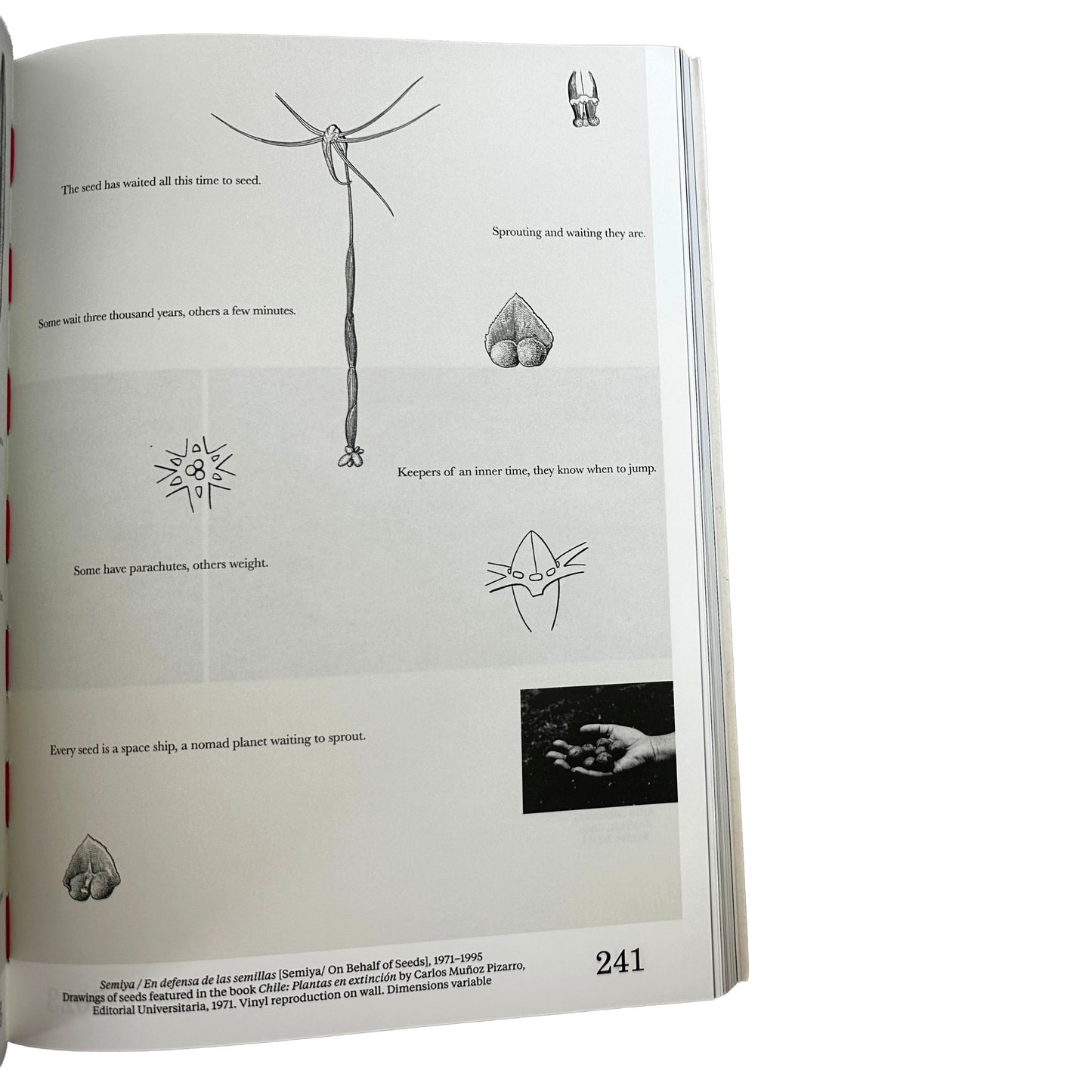 Dreaming Water excerpt with illustrations and text on a white background