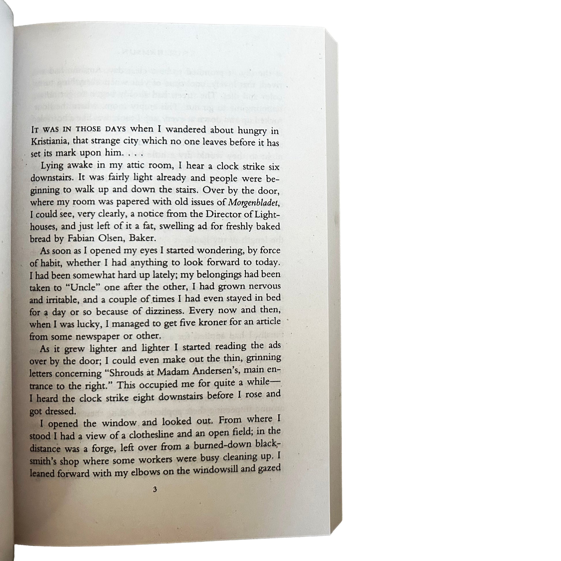 Open copy of Hunger with text on a white background