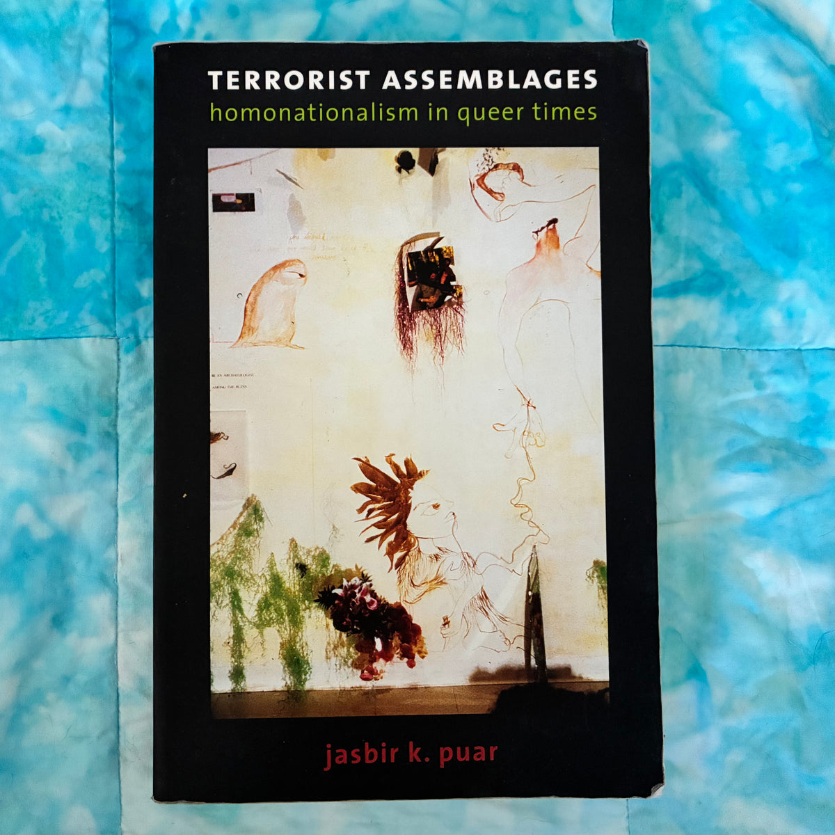 Terrorist Assemblages: Homonationalism in Queer Times