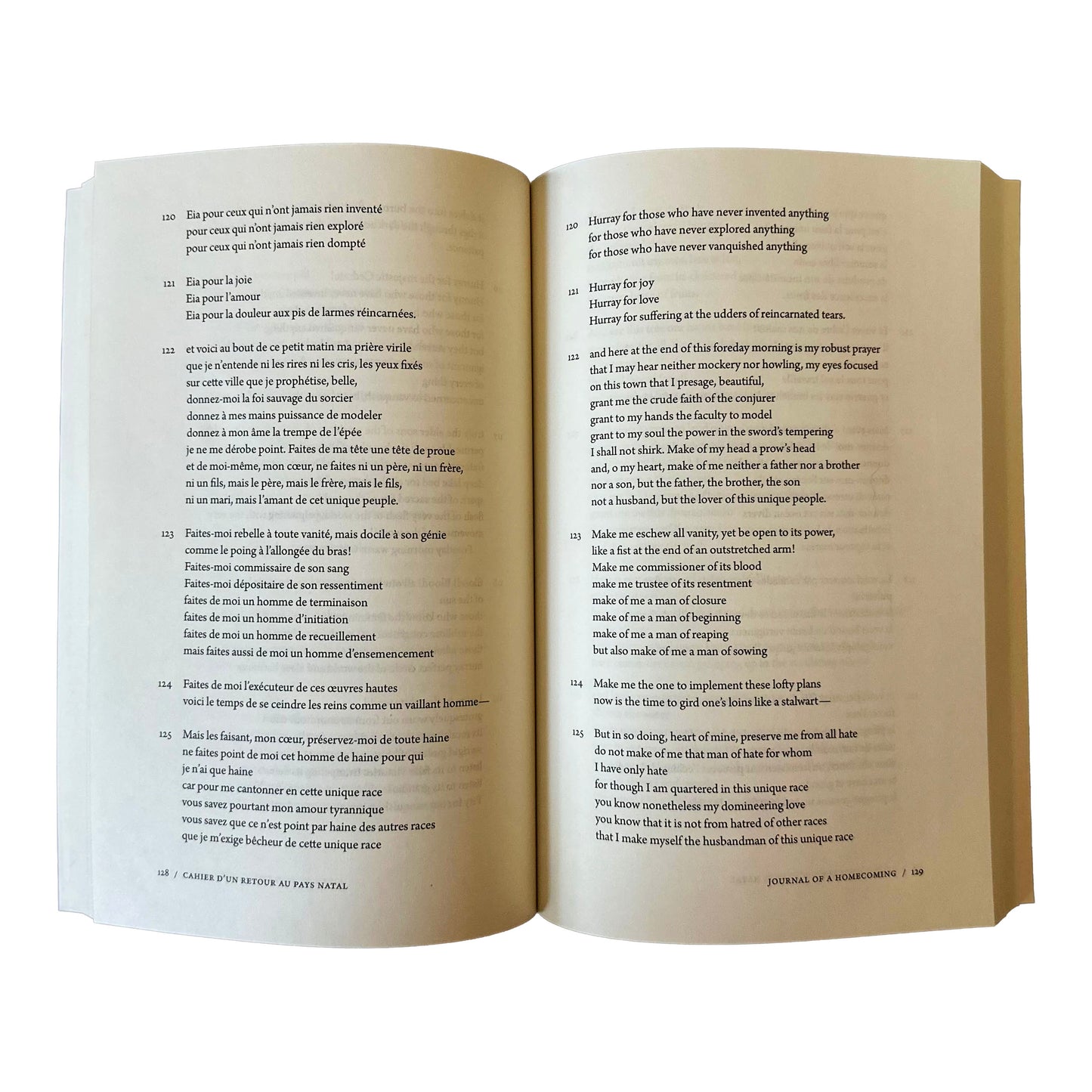 Open copy of Journal of a Homecoming with text on a white background