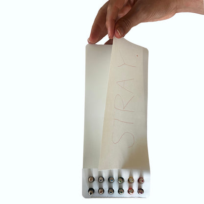 Hand holding a rectangular page with 'STRAY' branding on a white background