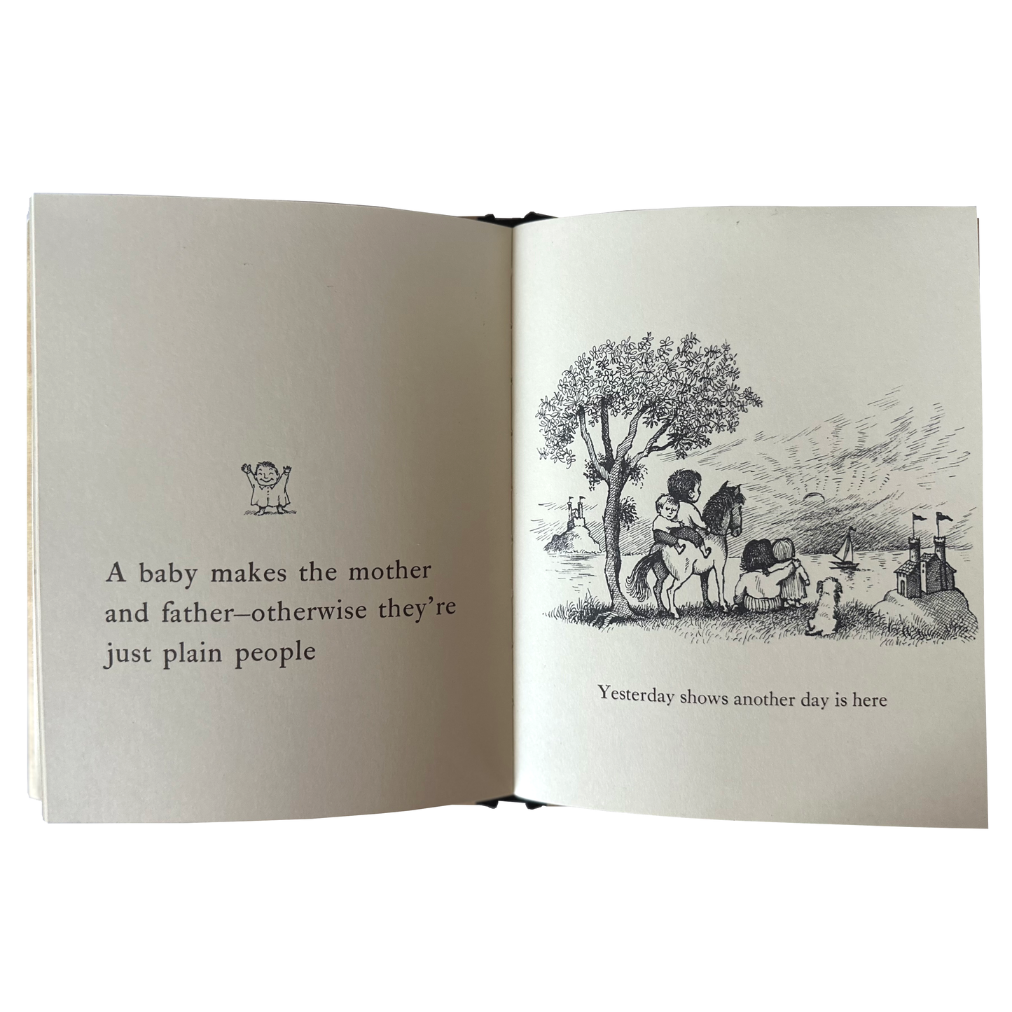 Open House for Butterflies