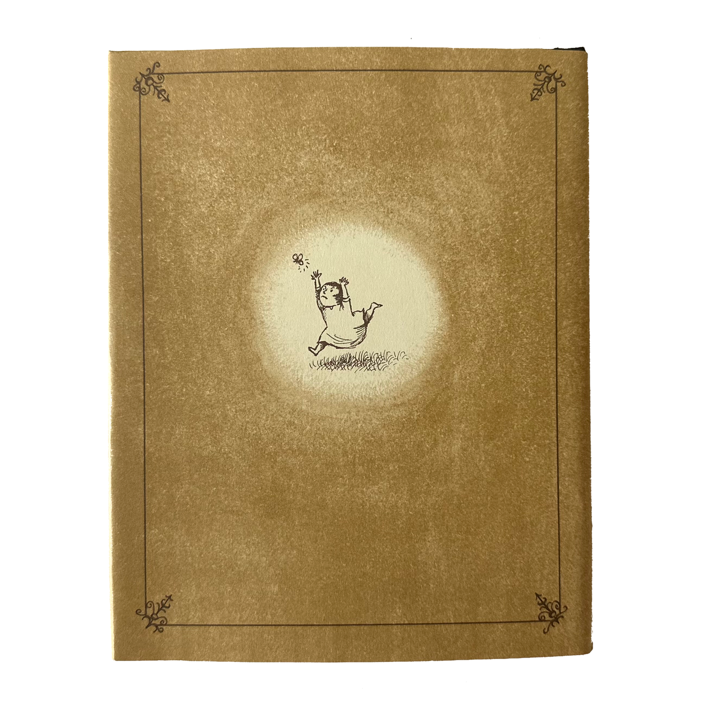 Open House for Butterflies