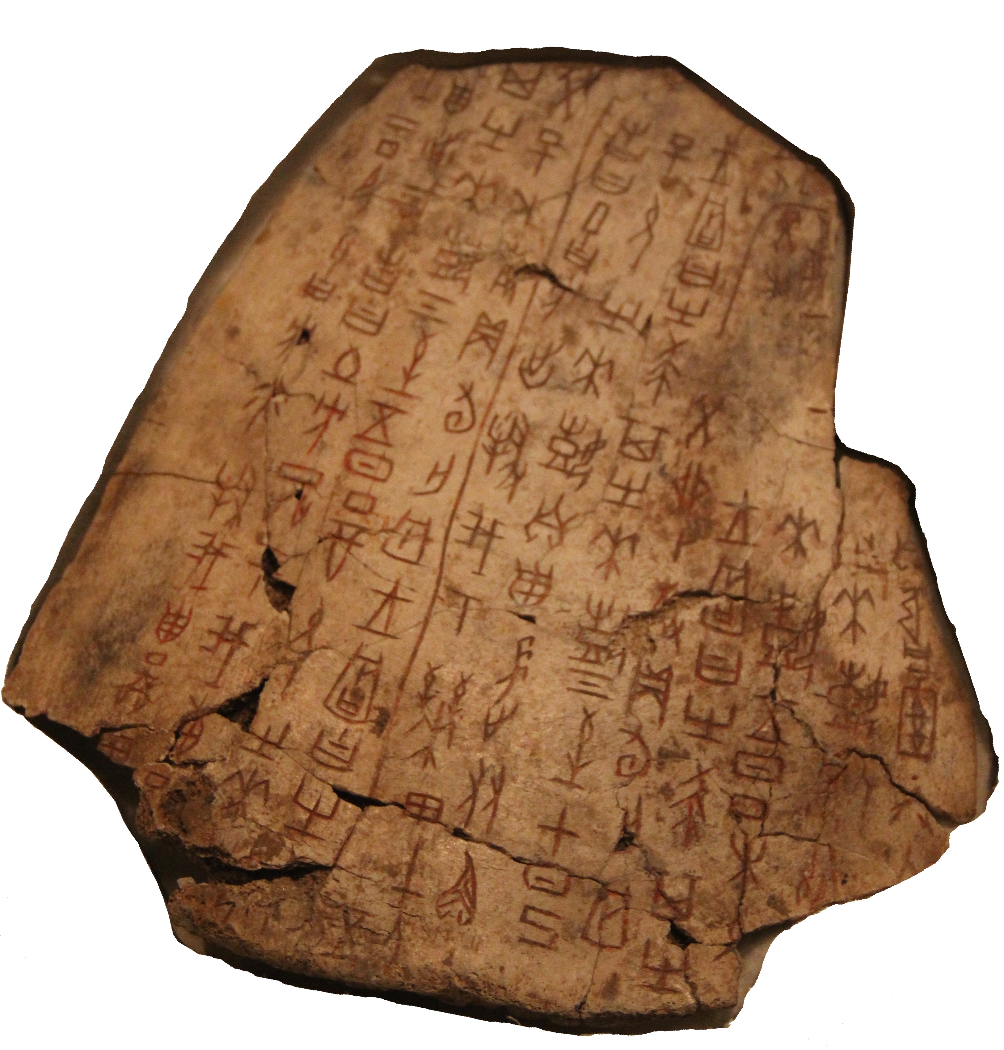 Ancient oracle bone with inscriptions on a white background
