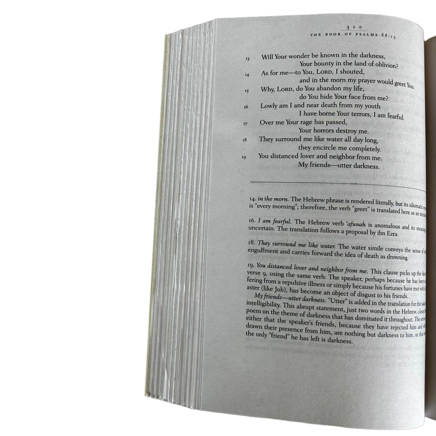 Open page of The Book of Psalms with text on a white background