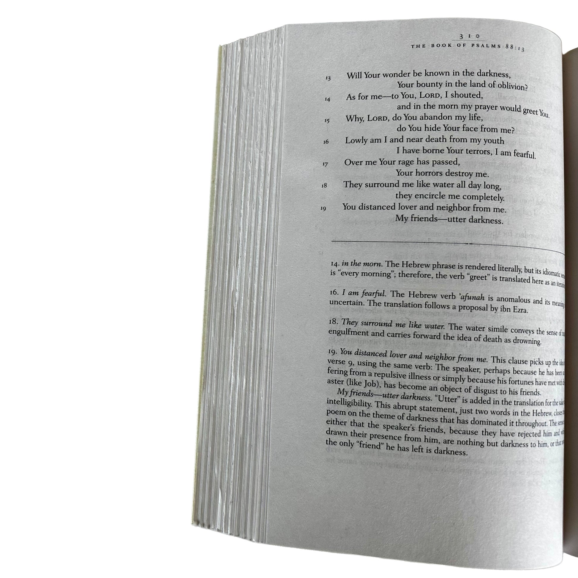 Open page of The Book of Psalms with text on a white background