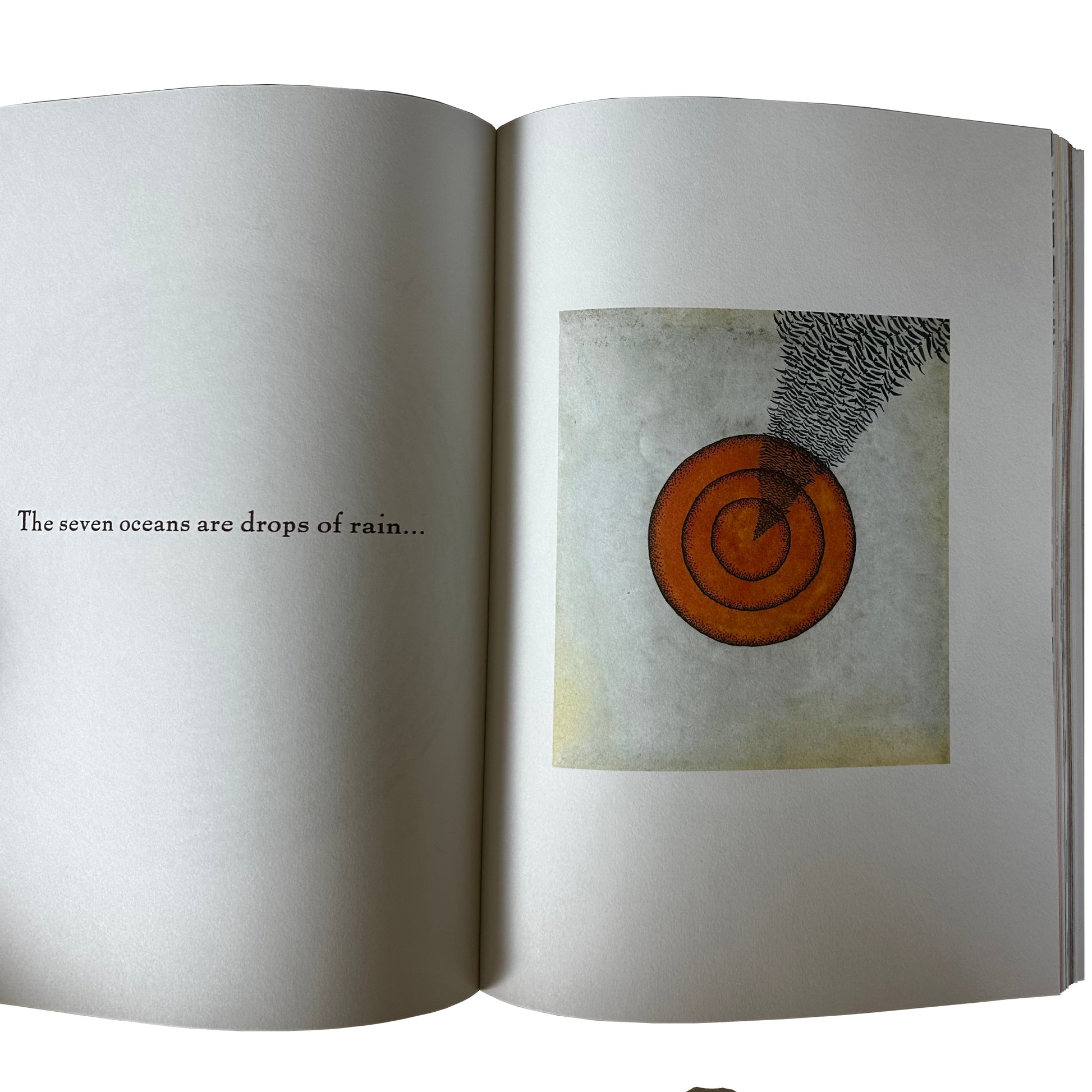 Open copy of The Conference of the Birds with a spiral design on a white background