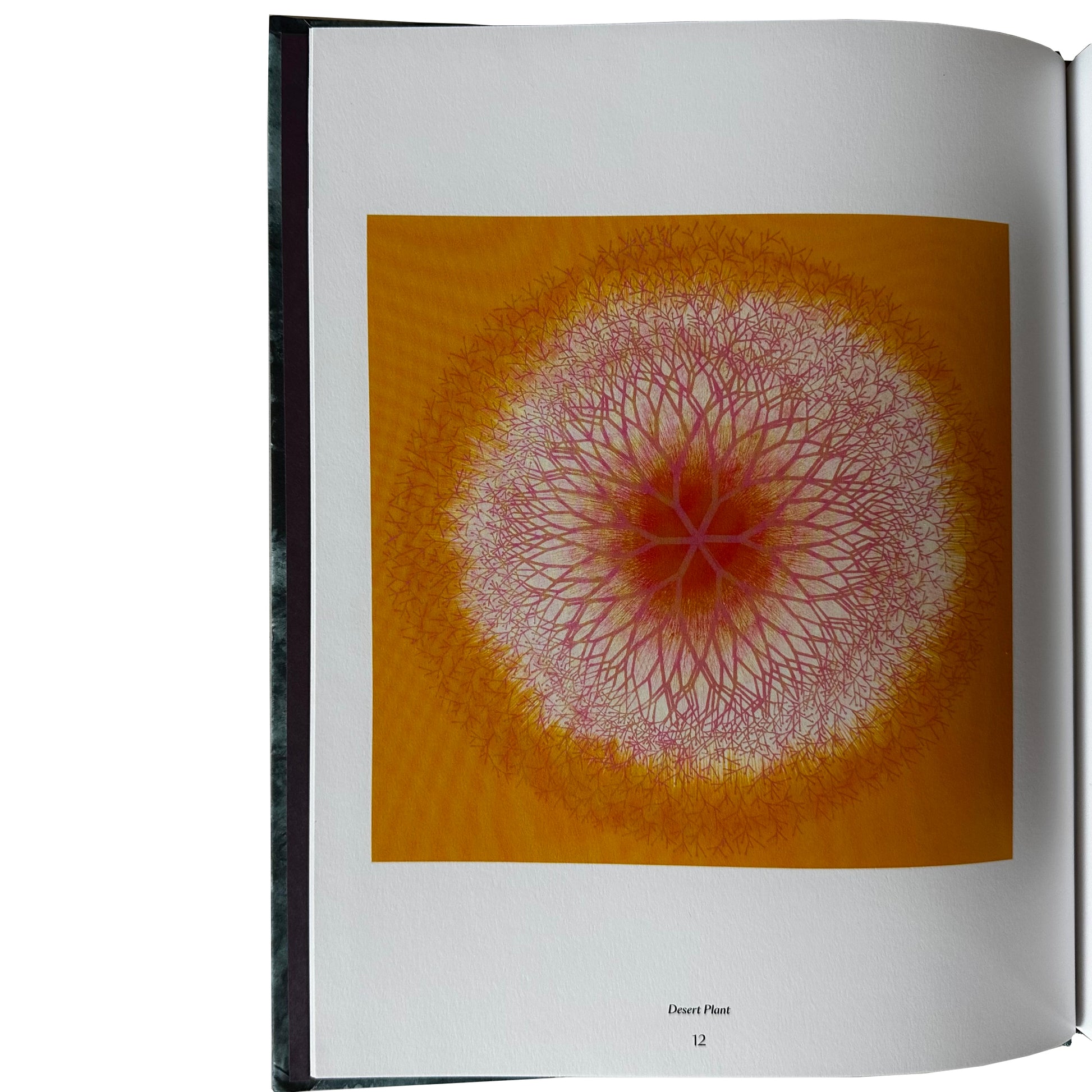 The Tamarind Prints open to a page with a red and white abstract design on an orange background